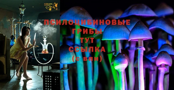 ALPHA-PVP Краснослободск