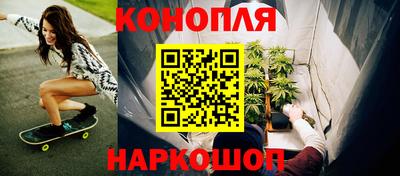 гашик Аргун