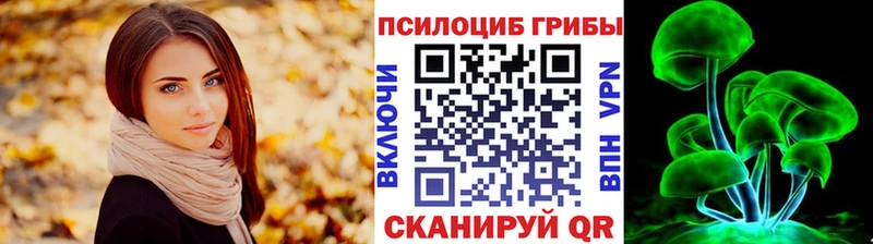 Галлюциногенные грибы мицелий  Бердск 