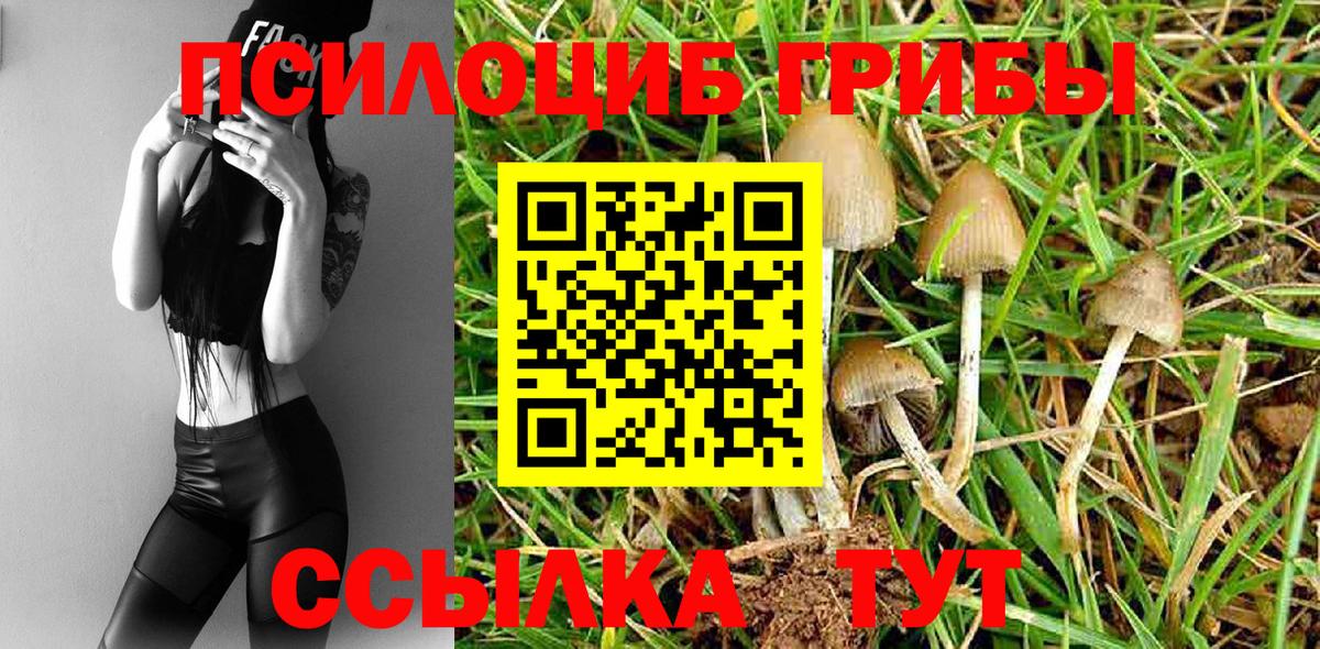 Псилоцибиновые грибы Magic Shrooms Бердск