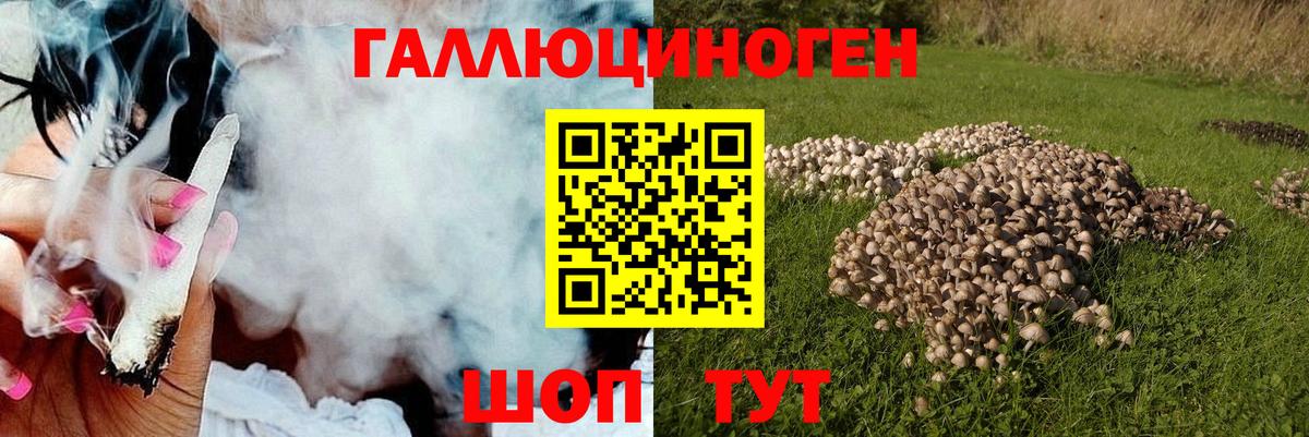 Галлюциногенные грибы мицелий  Вход с VPN  Бердск 