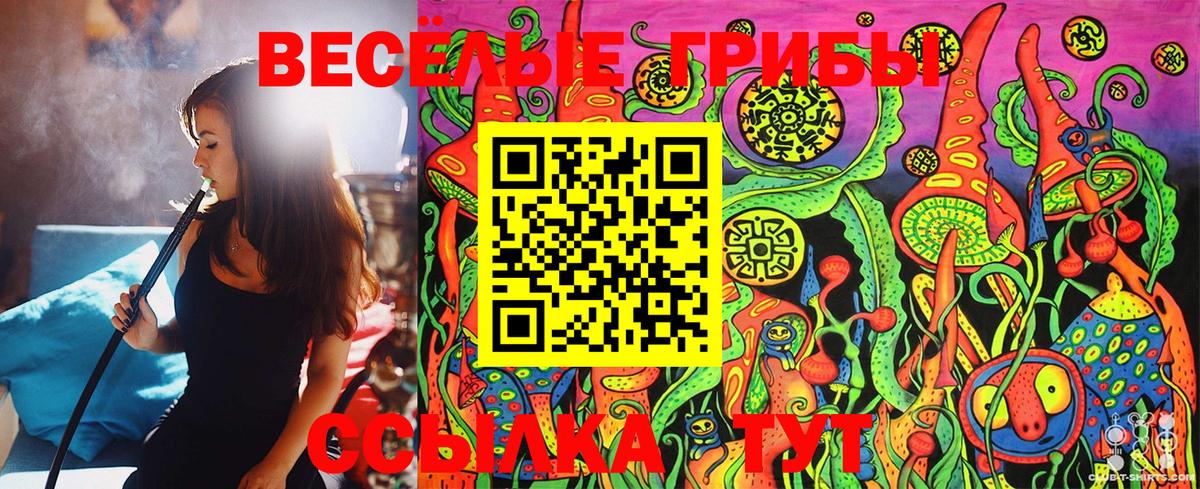 Псилоцибиновые грибы мицелий Бердск