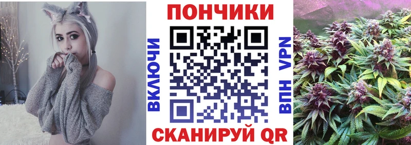 Марихуана Amnesia  где найти наркотики  Бердск 